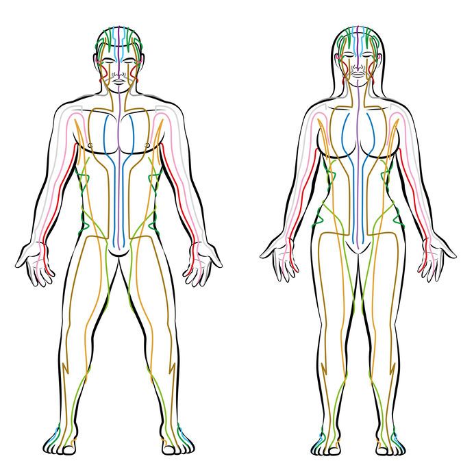Meridiane im menschlichen Körper und die APM-Methode